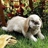 Holland Lop Rabbit - Folkmanis